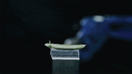 協作機器人運動